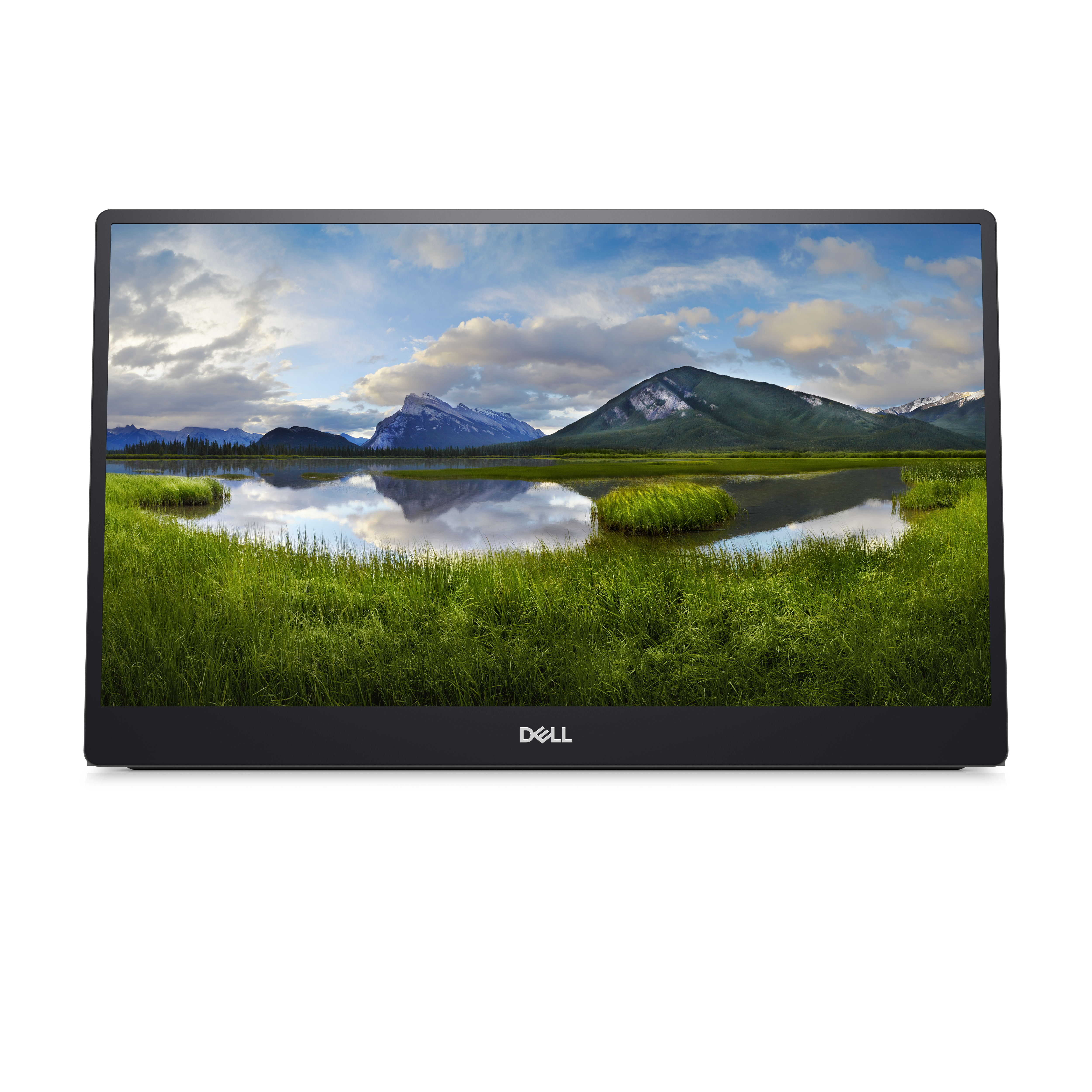 DELL C1422H computer monitor