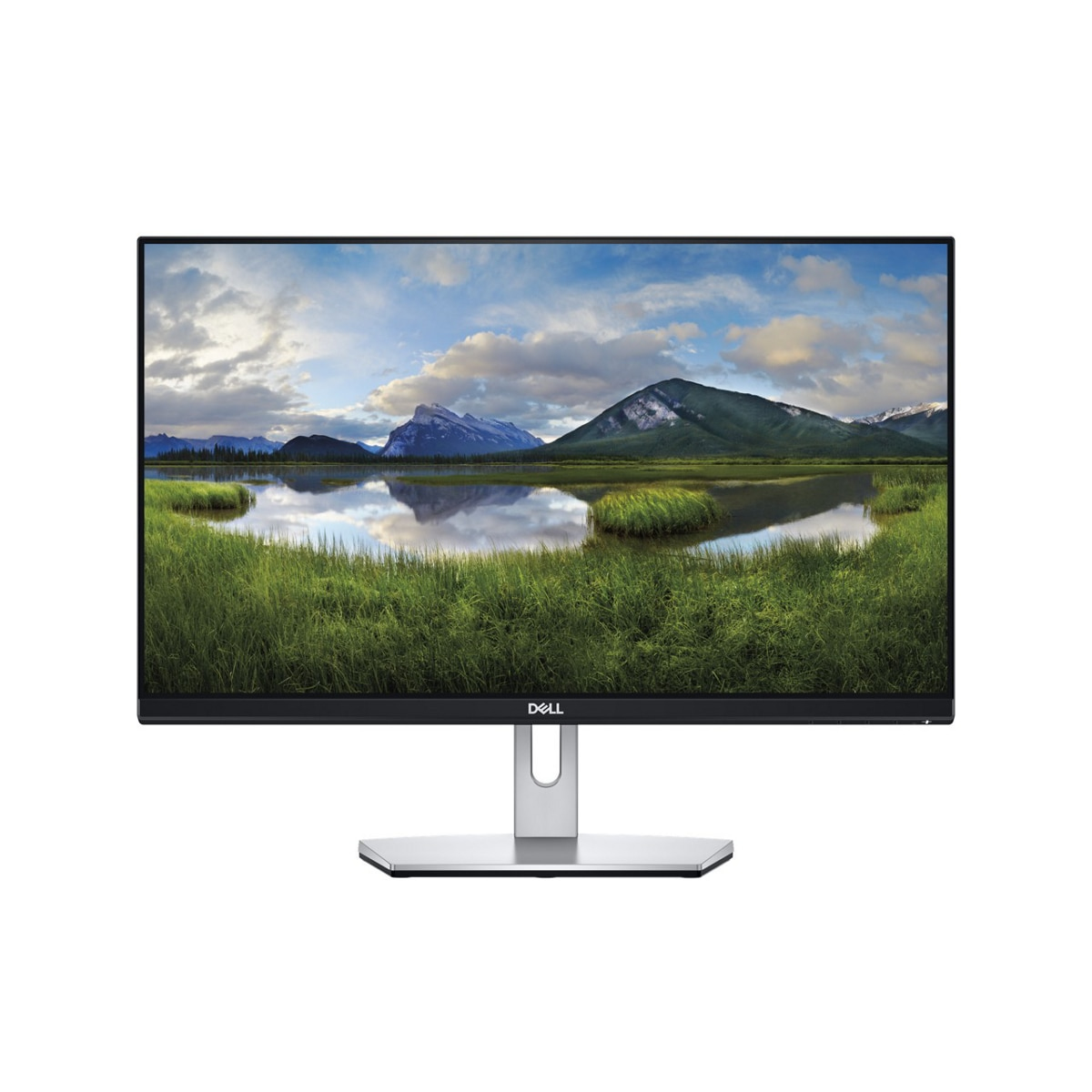 DELL S Series S2319NX LED display