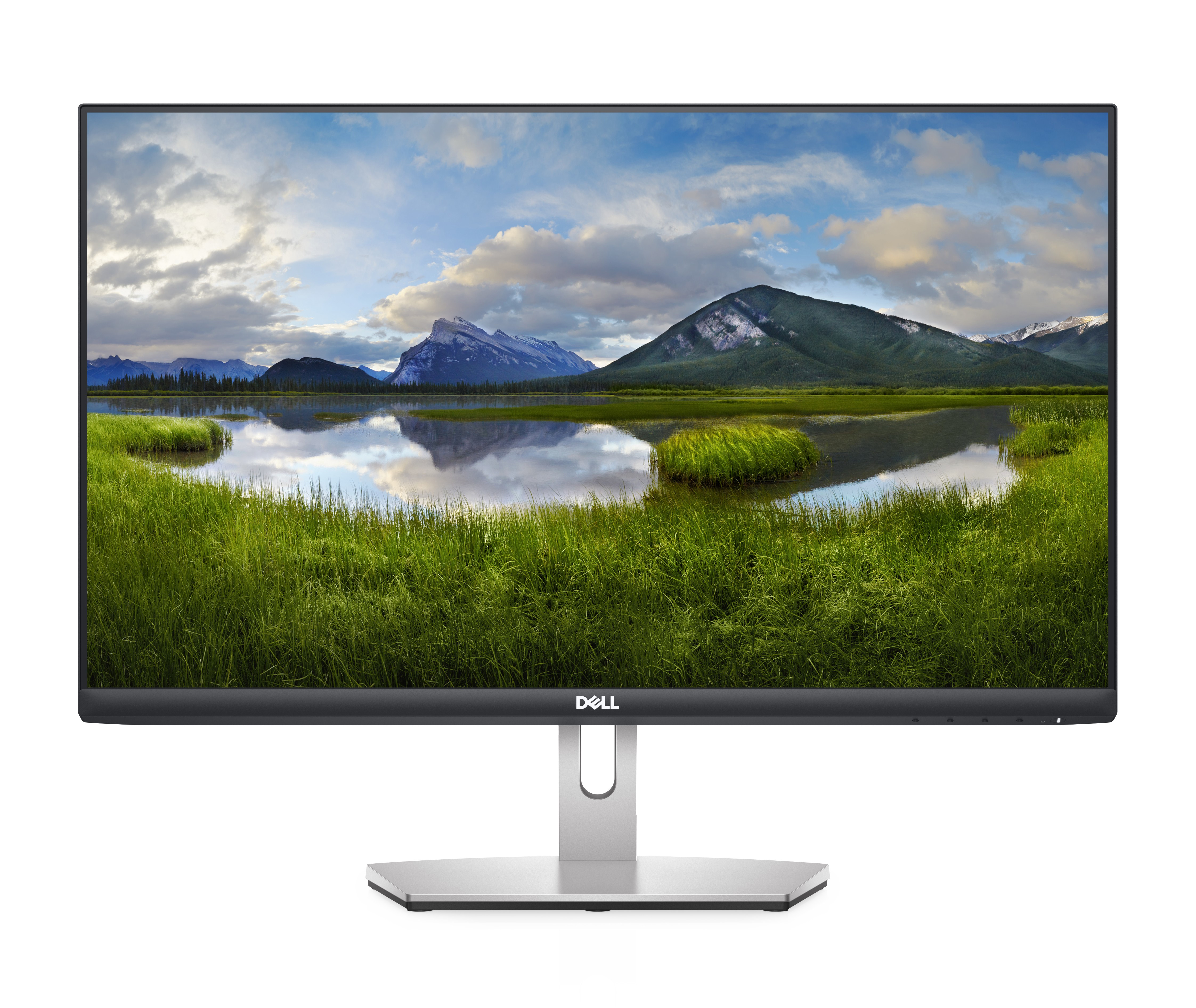 DELL S Series S2421HN computer monitor