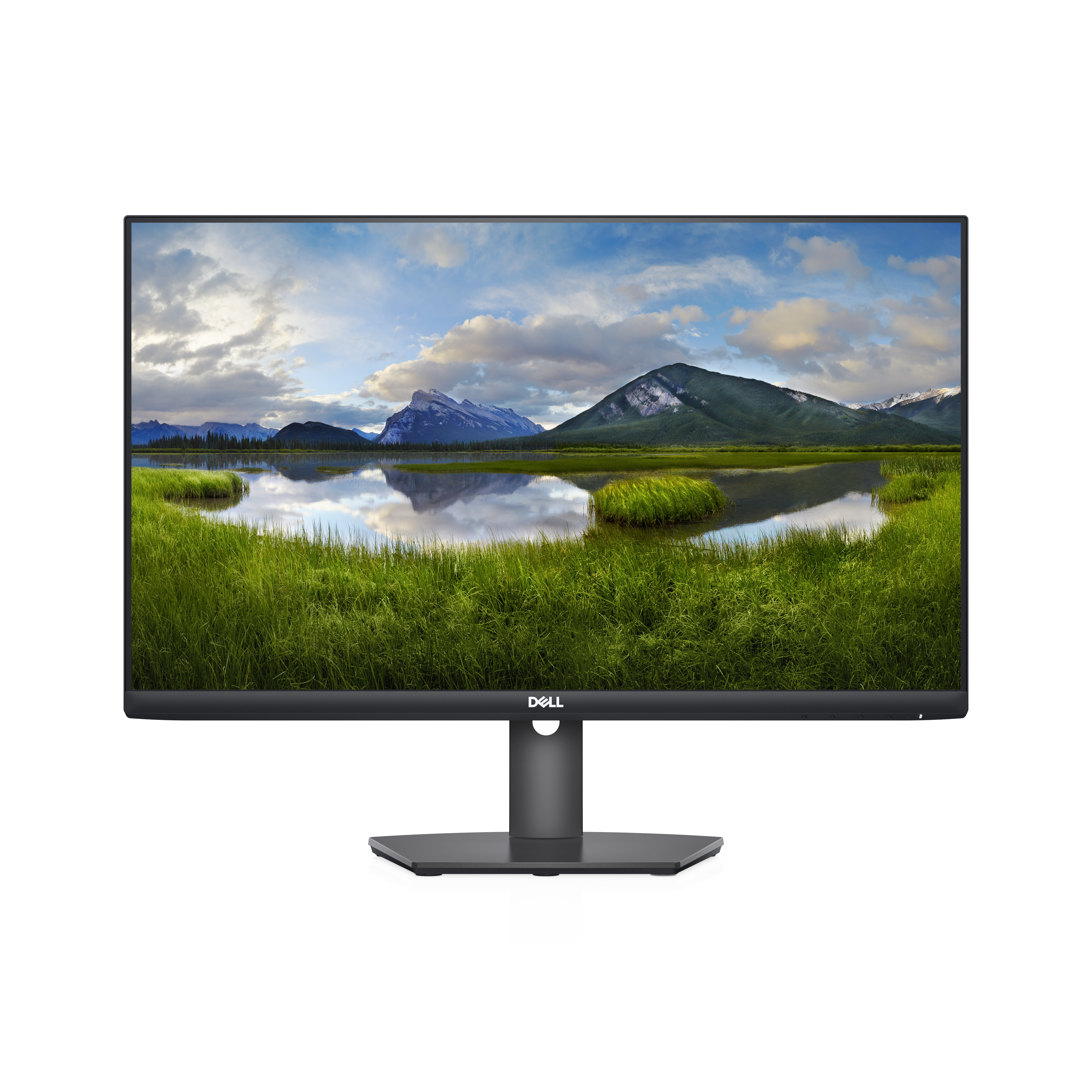 DELL S Series S2421HSX LED display