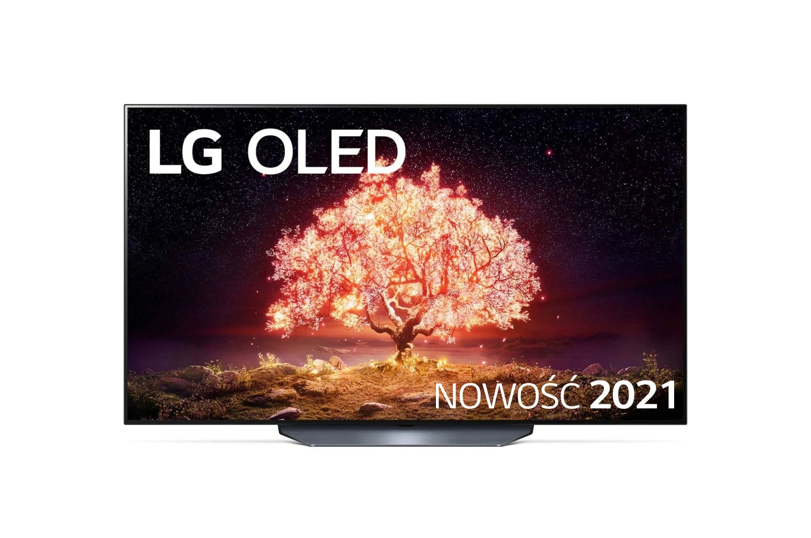 LG OLED55B13LA TV