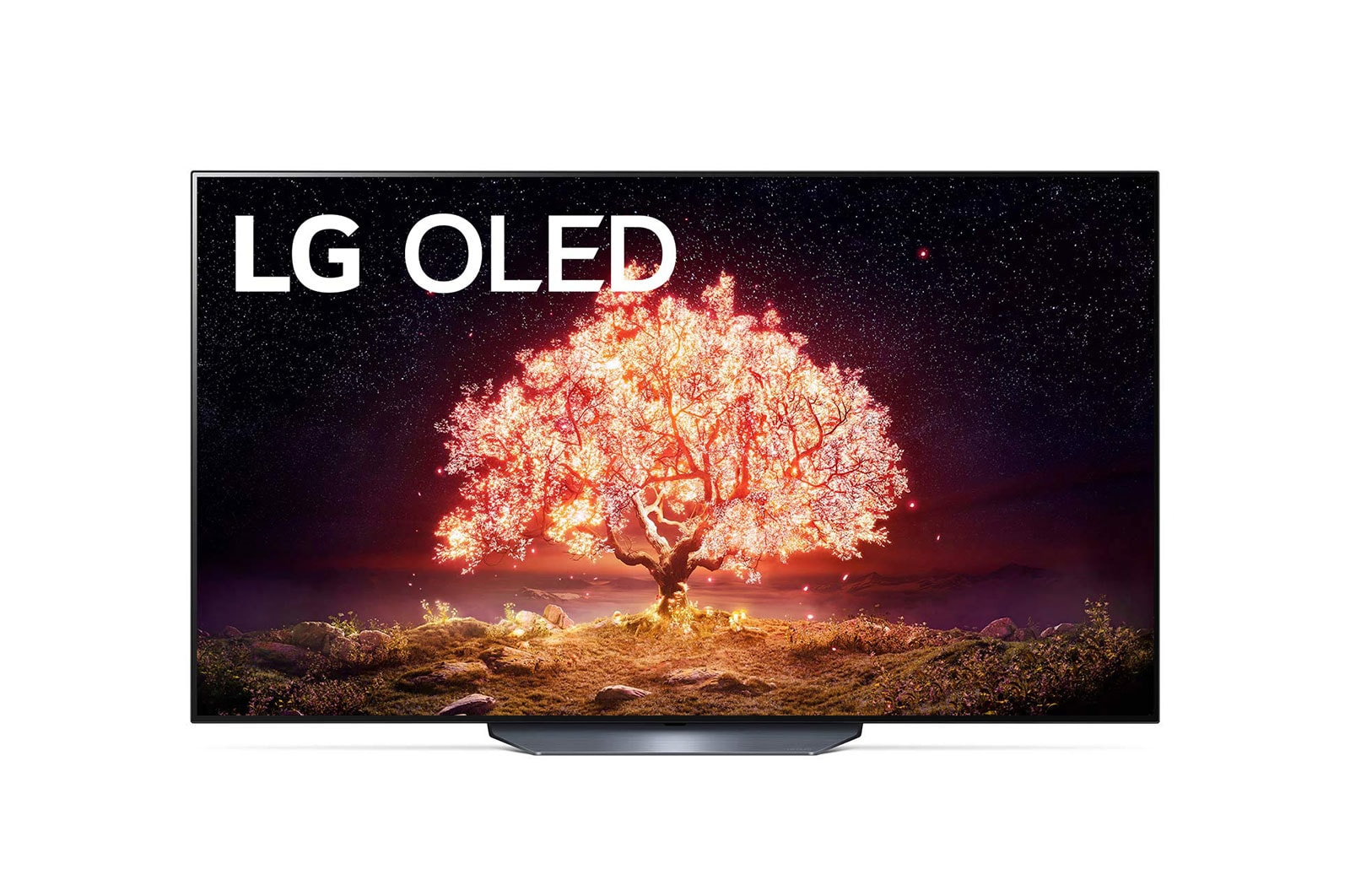 LG OLED65B19LA TV