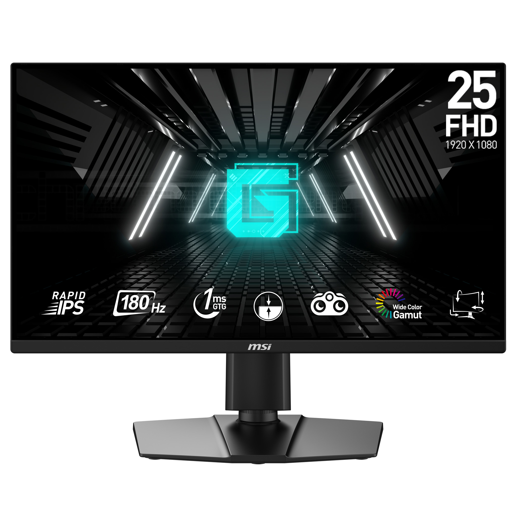 MSI G255PF E2 computer monitor