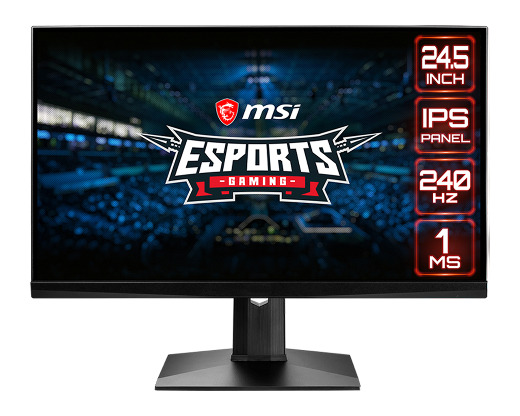 MSI Optix MAG251RX computer monitor