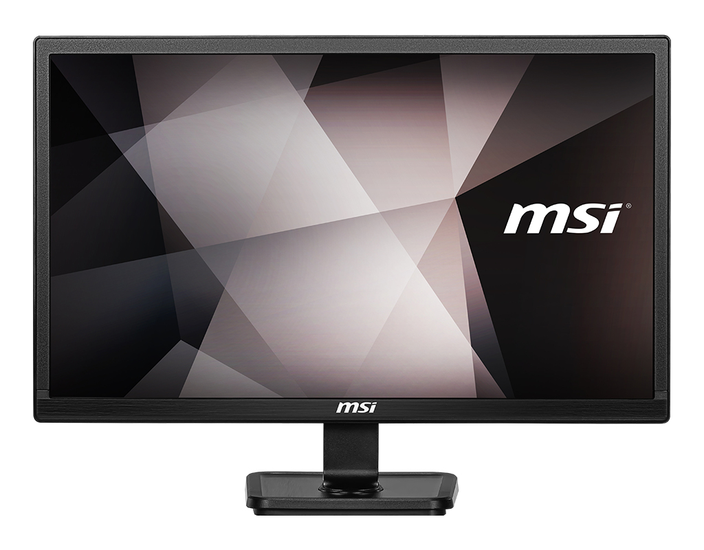 MSI PRO MP221