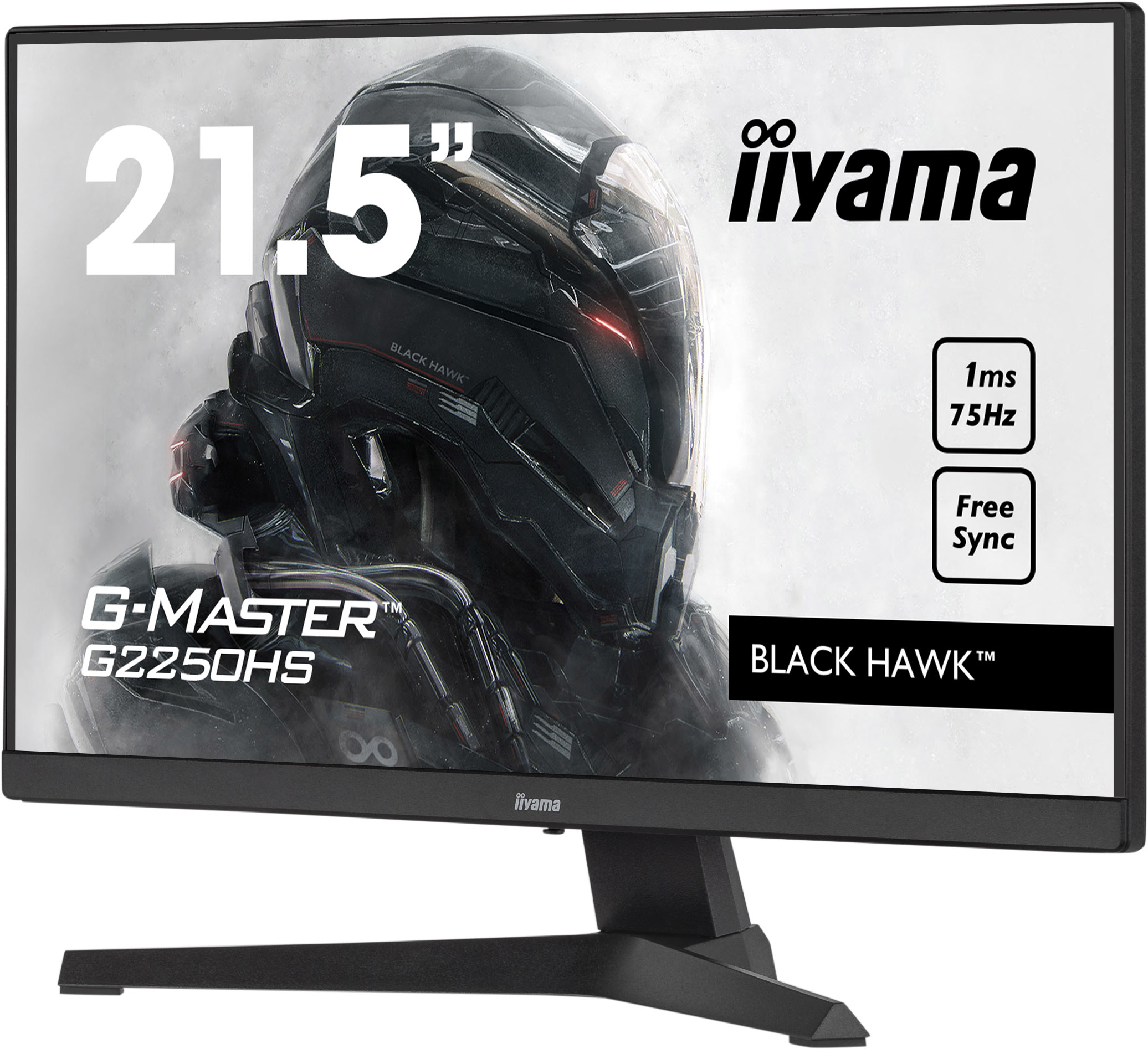 iiyama G-MASTER G2250HS-B1 computer monitor