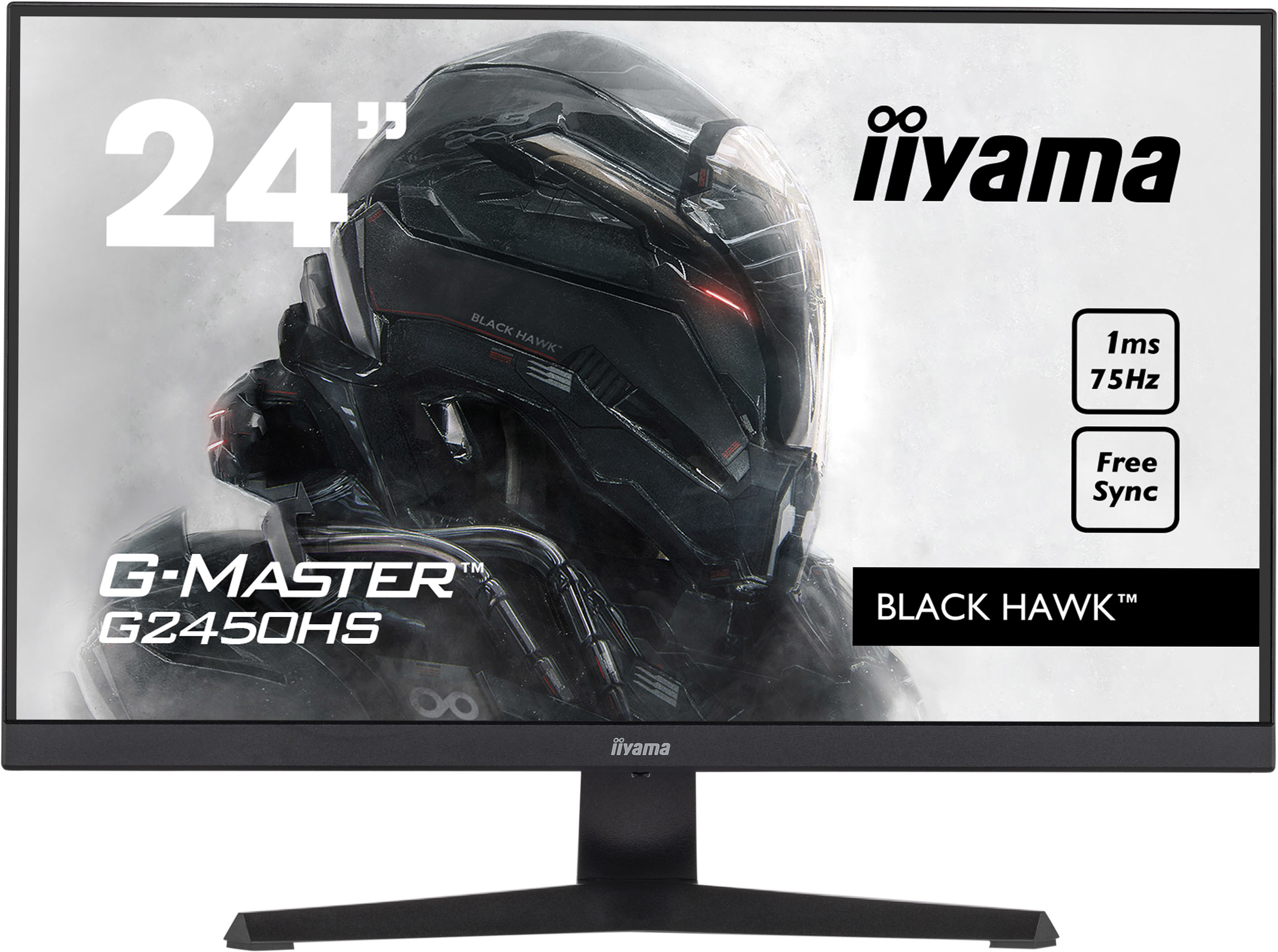 iiyama G-MASTER G2450HS-B1 computer monitor