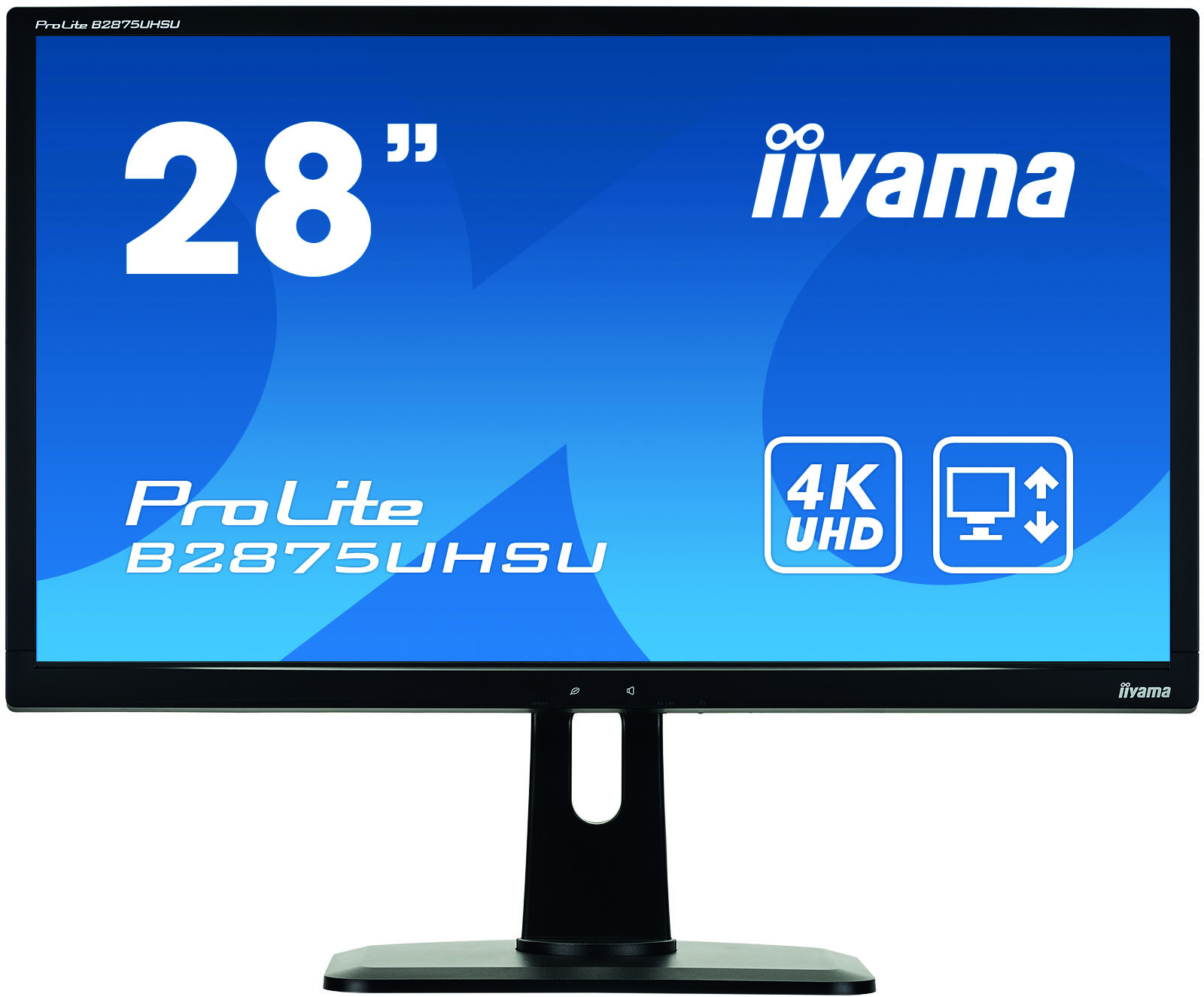 iiyama ProLite B2875UHSU-B1 computer monitor