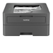 Brother HL-L2402D laser printer