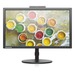 Lenovo ThinkVision T2224z