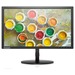 Lenovo ThinkVision T2324p