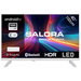 Salora 40FWA555 TV