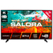 Salora 43BXX9000 TV