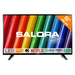 Salora 5000 series 55WSU6002 TV