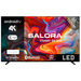 Salora SMART65TV TV