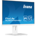 iiyama ProLite XUB2492HSU-W5 LED display